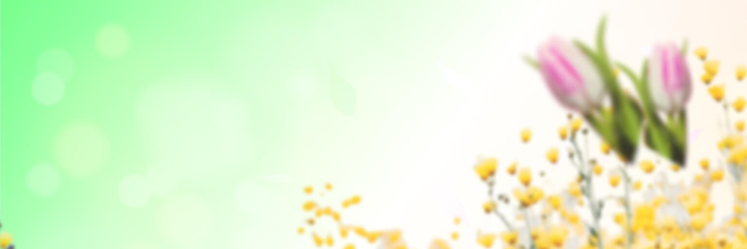 BOGO Promo Banner