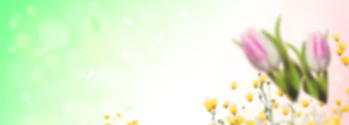 BOGO Promo Banner