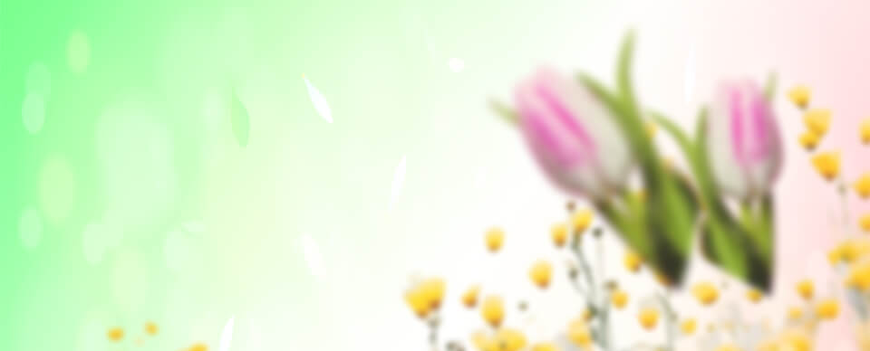 BOGO Promo Banner