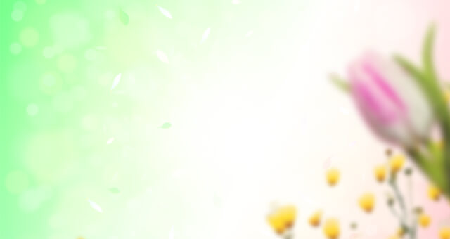 BOGO Promo Banner